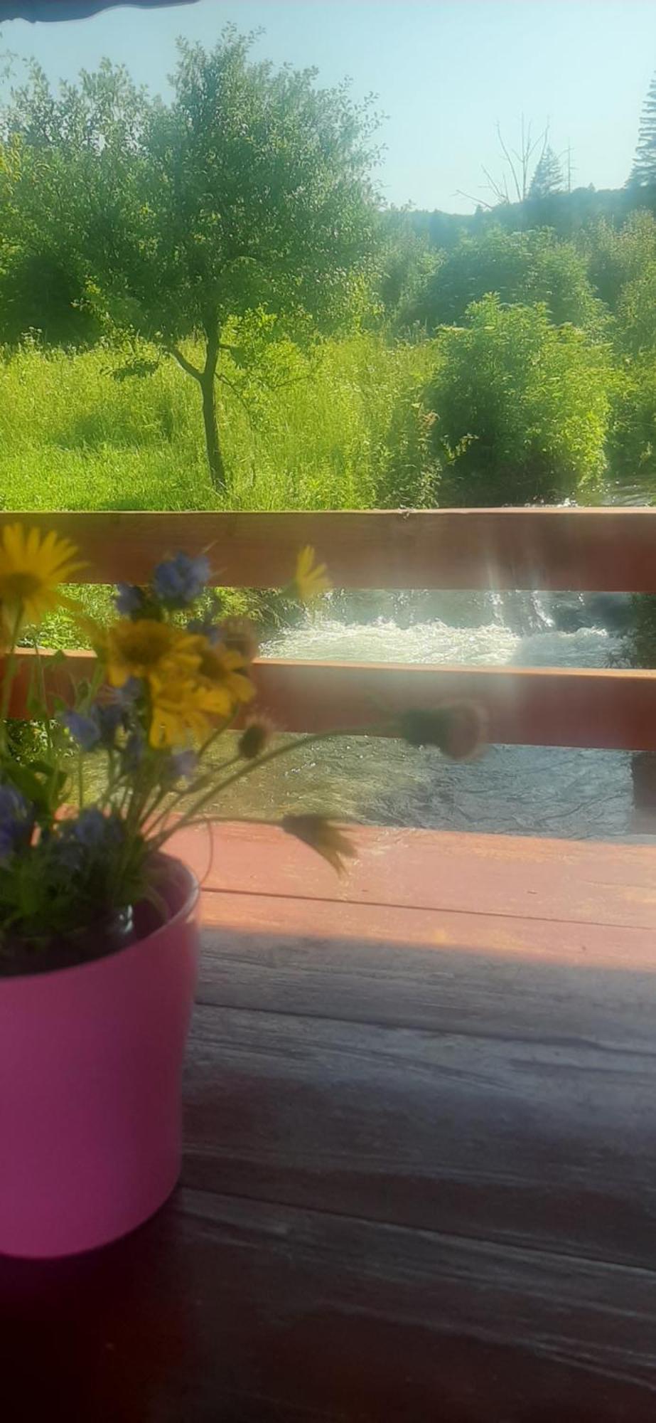 Guest House Mila Plitvicki Ljeskovac Dış mekan fotoğraf